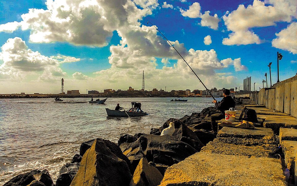 Fayl:مهنه صيد الاسمالك (Fishing).jpg