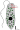 Algologiya