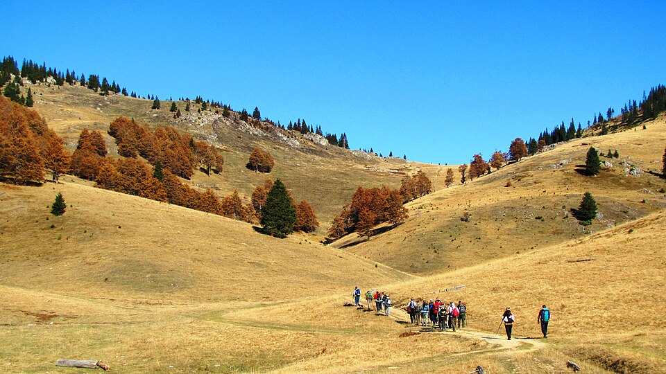 Fayl:Hala e Shkrelit Peak.JPG