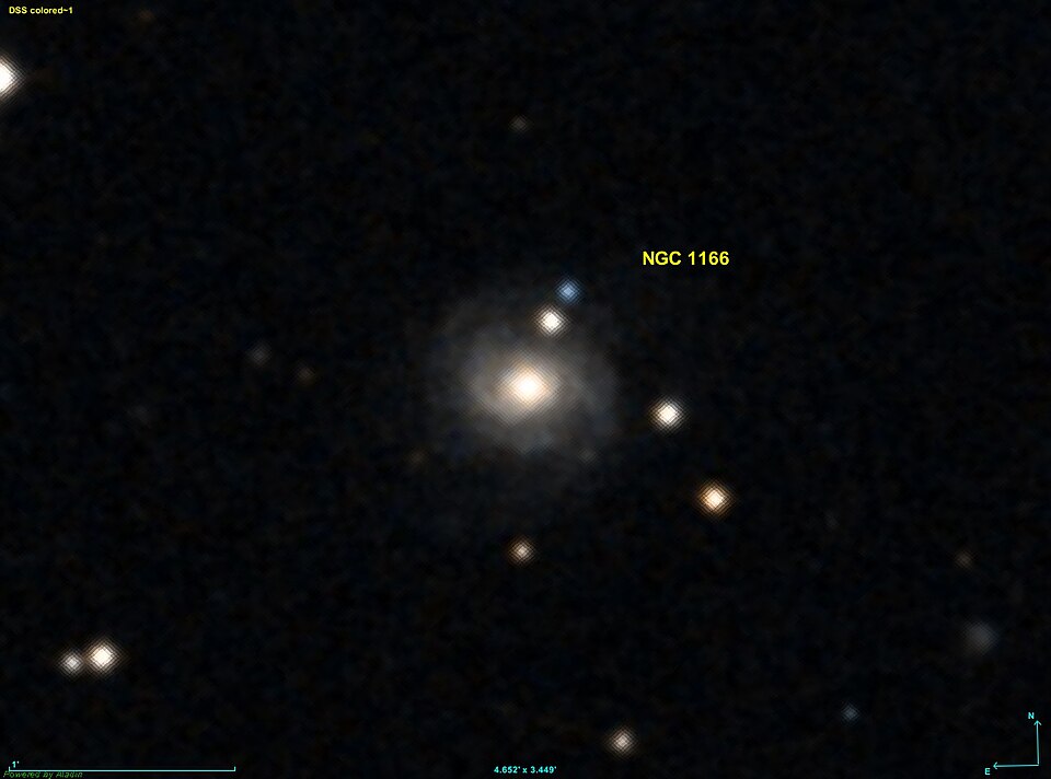 Fayl:NGC 1166 DSS.jpg