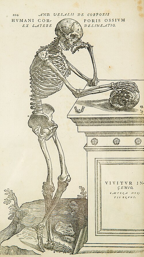 Fayl:Vesalius-copy.jpg
