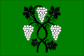 {{{rasmiy_nomi}}}ning bayrogʻi