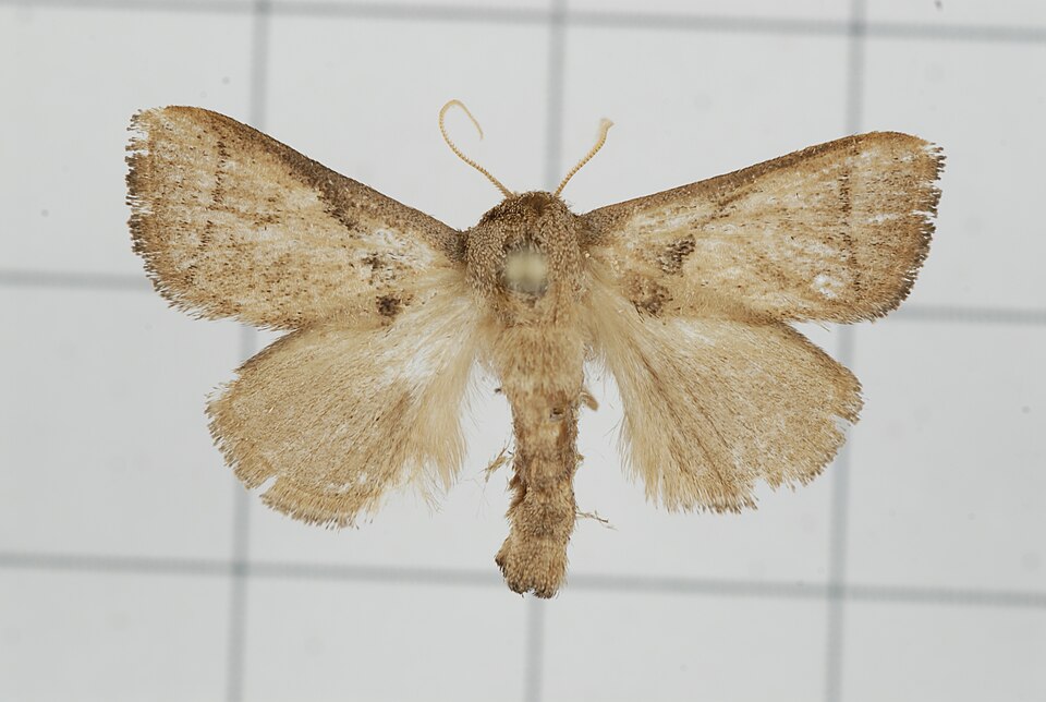 Fayl:A38-20130416-050 (9297796814).jpg