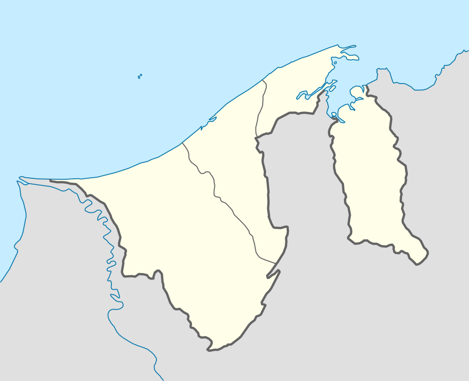 Fayl:Brunei location map.svg
