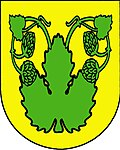 Velká Chmelištná