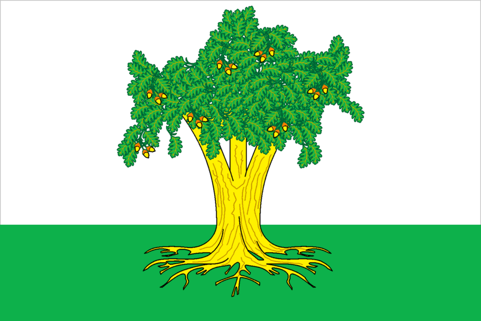 Fayl:Flag of Kaibitsky rayon (Tatarstan).png