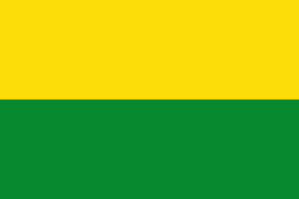 Fayl:Flag of Vichada.svg
