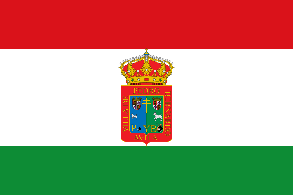 Fayl:Bandera de Pedro Bernardo.svg