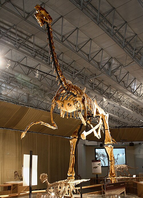 Fayl:Gigantoraptor.jpg