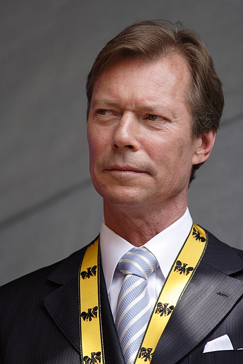 Fayl:Henri of Luxembourg (2009).jpg