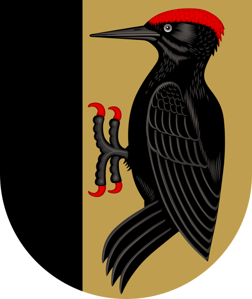Fayl:Pielisjärvi.vaakuna.svg