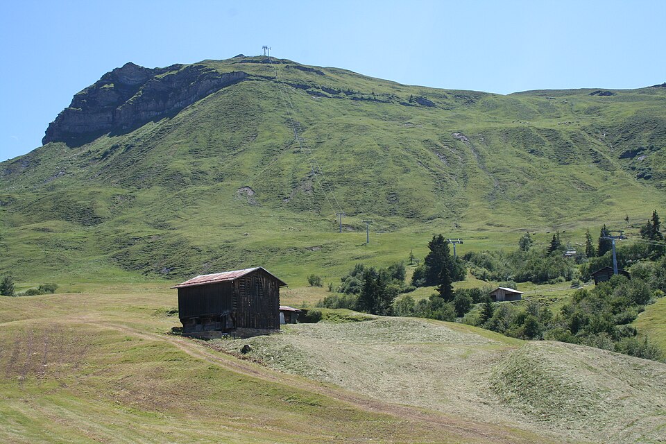 Fayl:Piz Mundaun Nordseite.JPG
