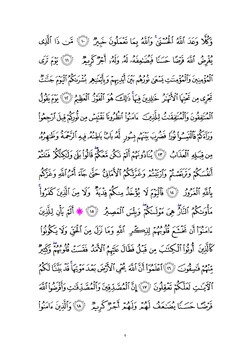 keyingi sahifa →