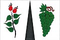 {{{rasmiy_nomi}}}ning bayrogʻi