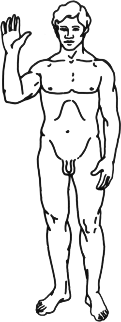 Fayl:Human-man.png