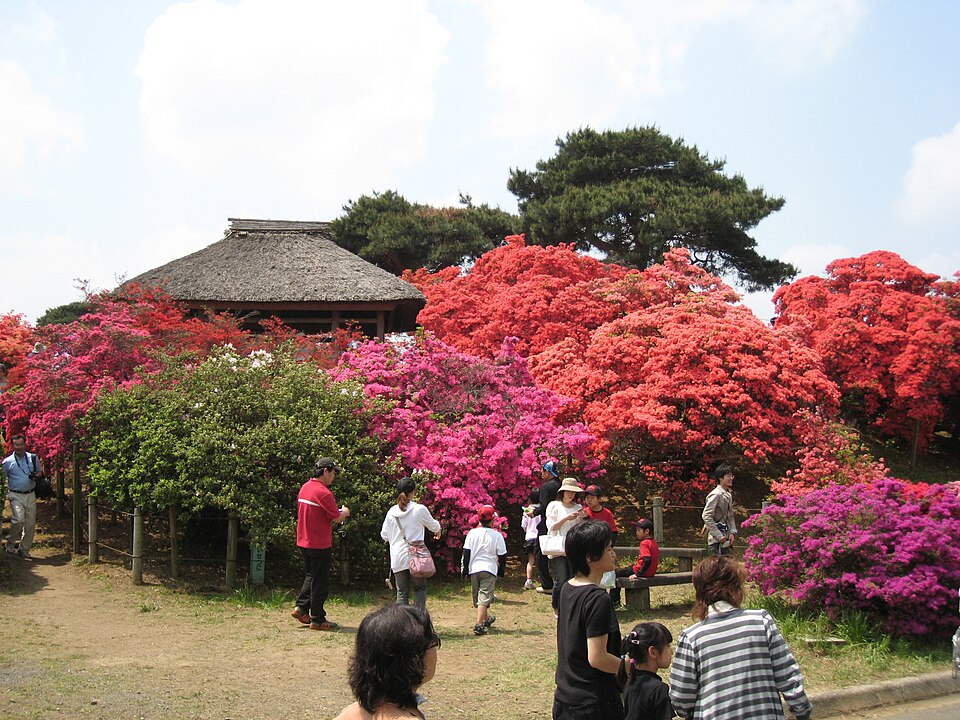 Fayl:TsutsujiTatebayashi.jpg